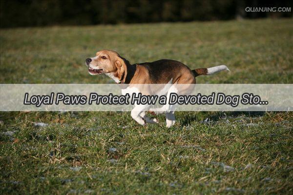 Loyal Paws Protect How a Devoted Dog Stood Up for a Child Against an Angry Parents Temper